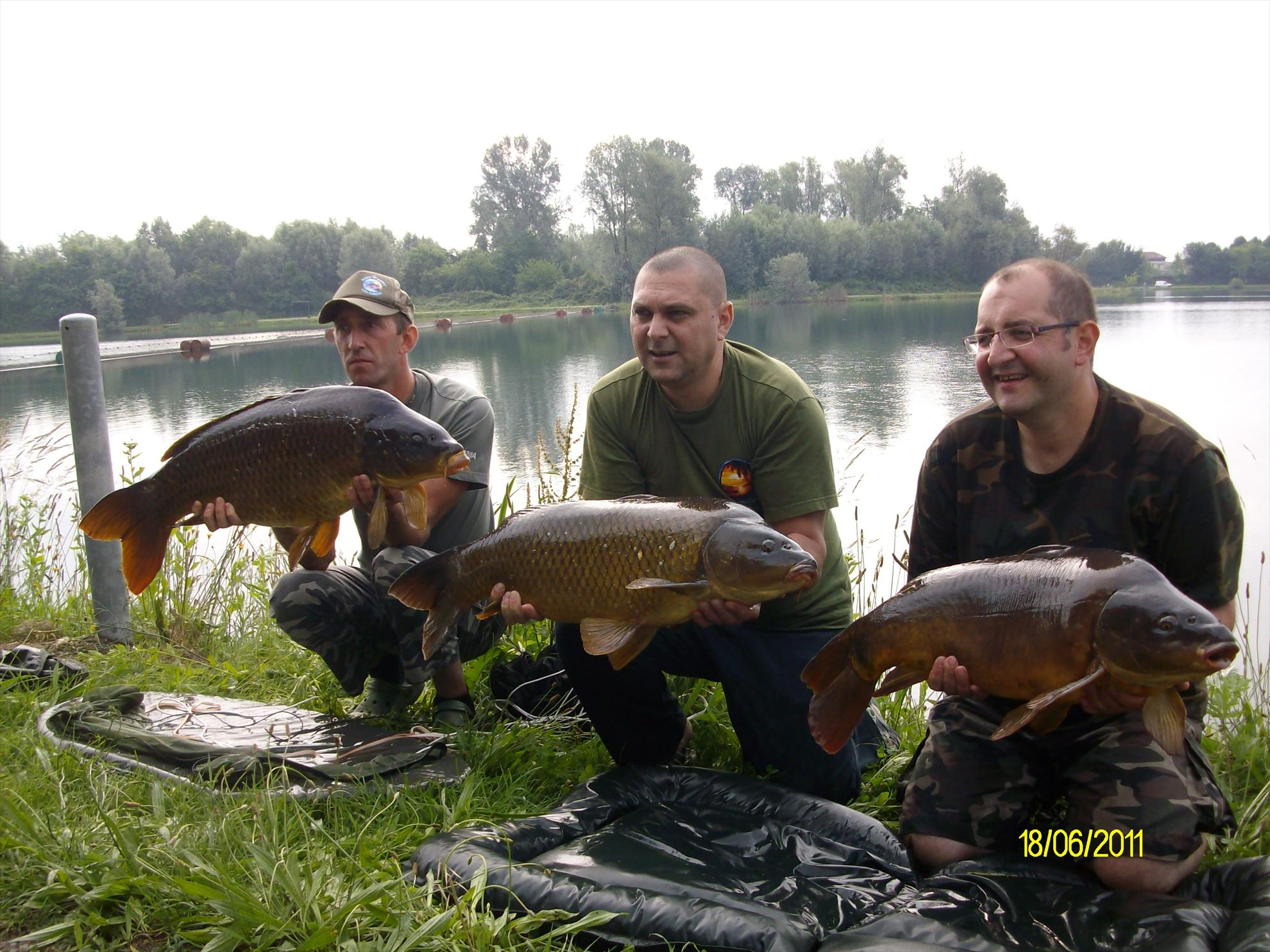 florian tanasa - alim0348.JPG